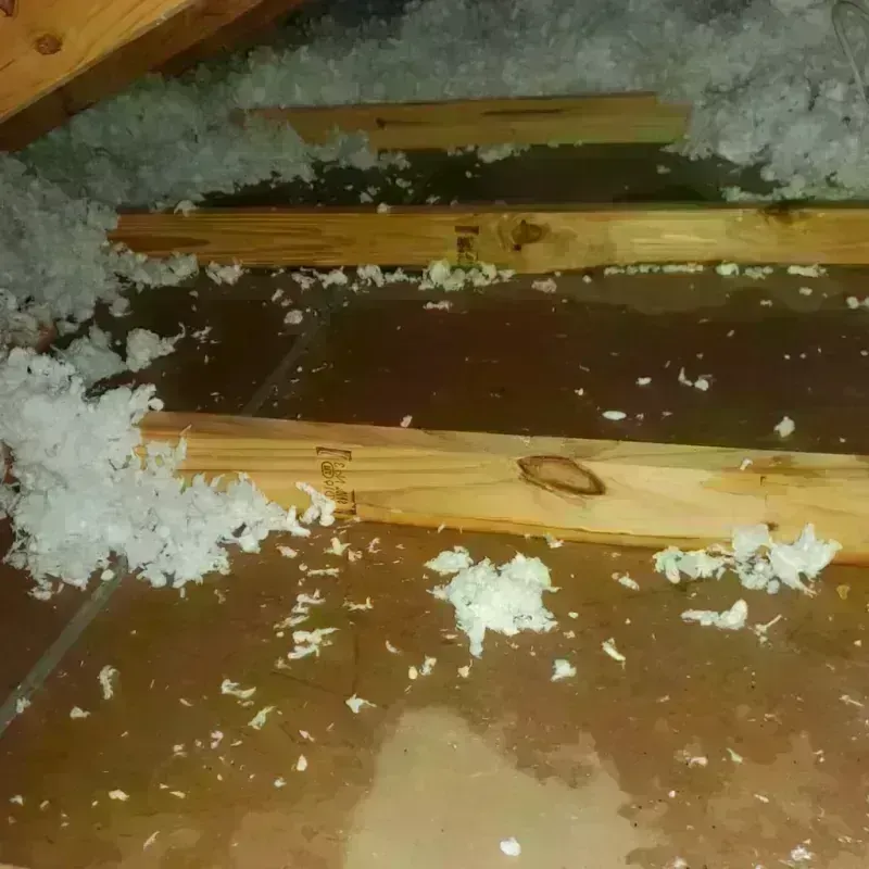 Attic Water Damage in West Perrine, FL